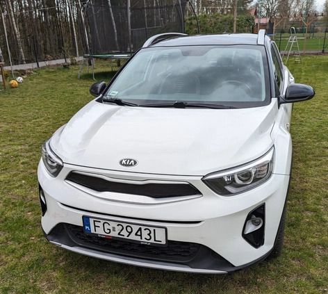 Kia Stonic cena 69000 przebieg: 42500, rok produkcji 2019 z Końskie małe 92